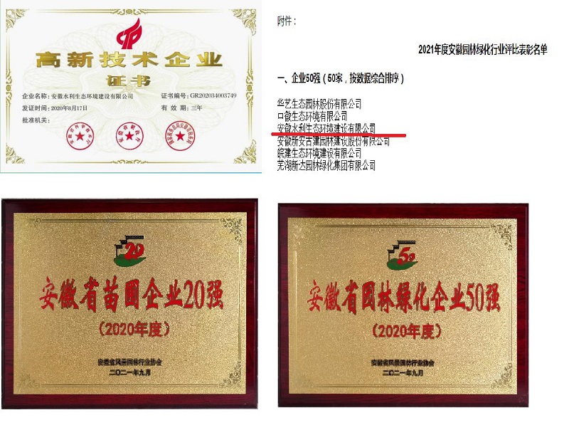 圖片2.jpg