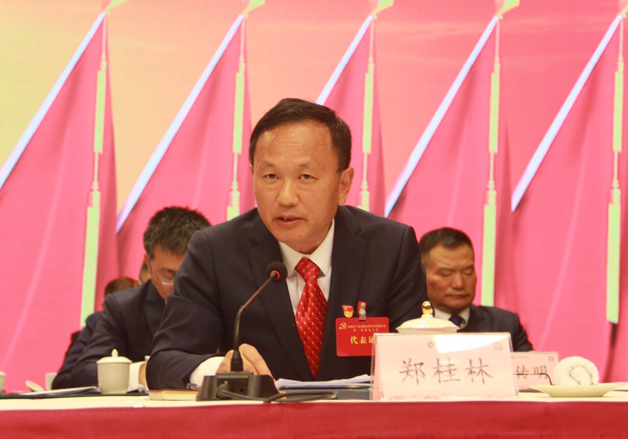 鄭桂林報(bào)告代表資格審查情況.jpg